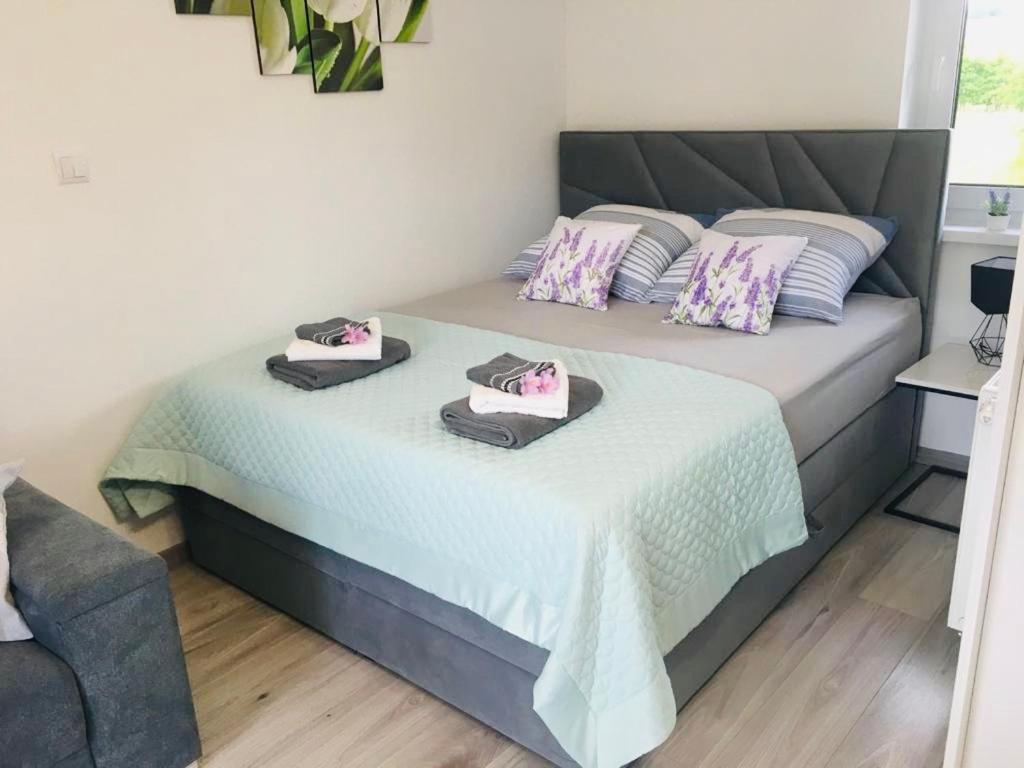 Apartamenty Pod Cisem Kudowa-Zdrój Esterno foto